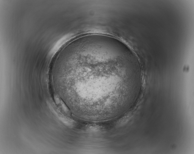 X0000111040199200906251410