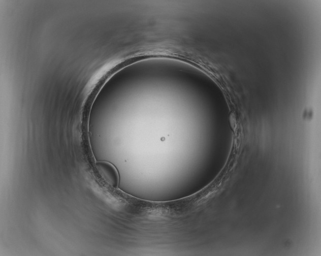X0000111040200200906251410