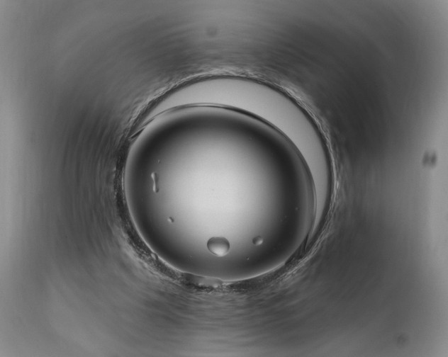X0000111040201200906251410
