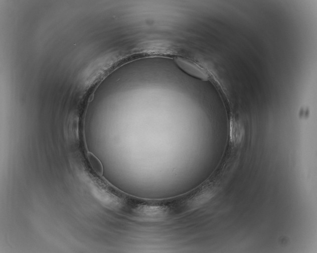 X0000111040205200906251410