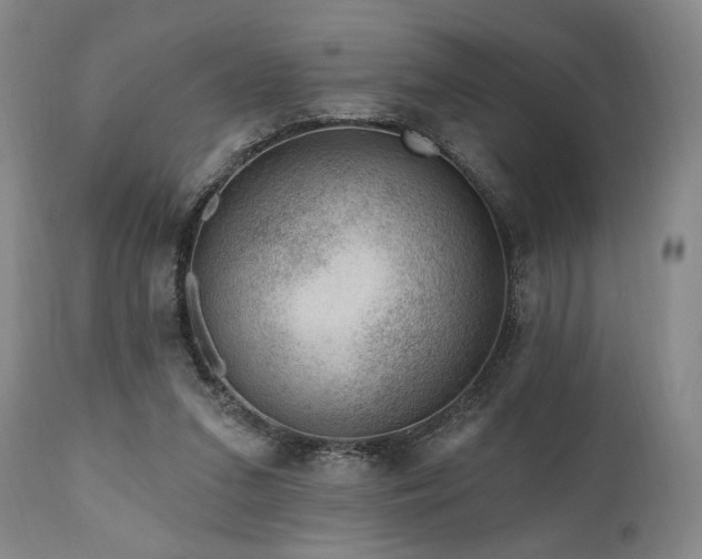 X0000111040207200906251409