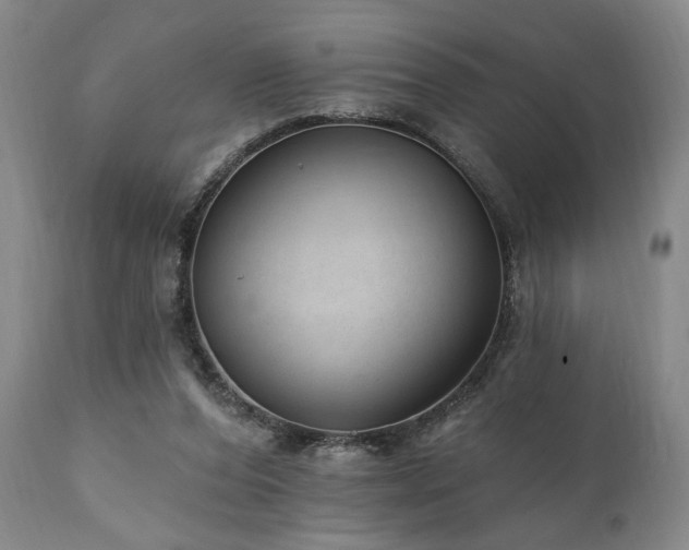 X0000111040208200906251409