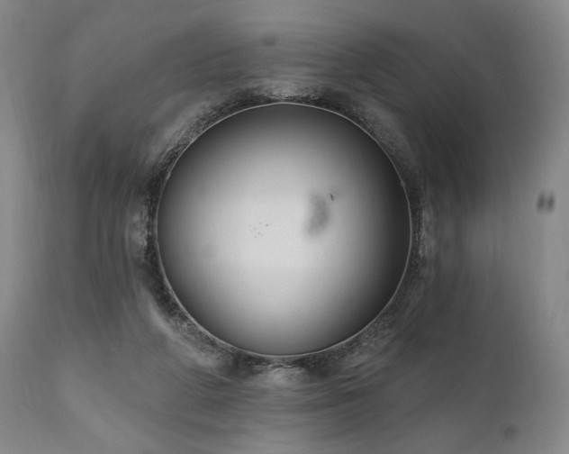 X0000111040210200906251409