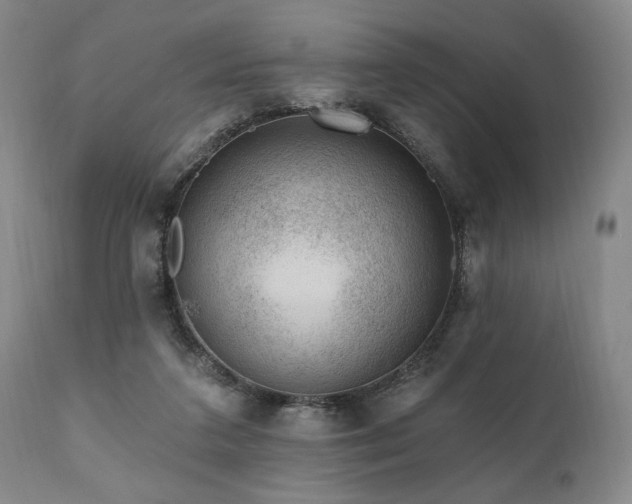X0000111040211200906251409