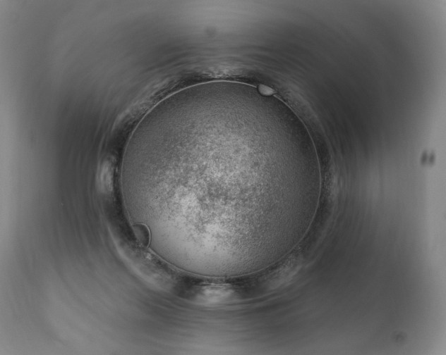 X0000111040214200906251409