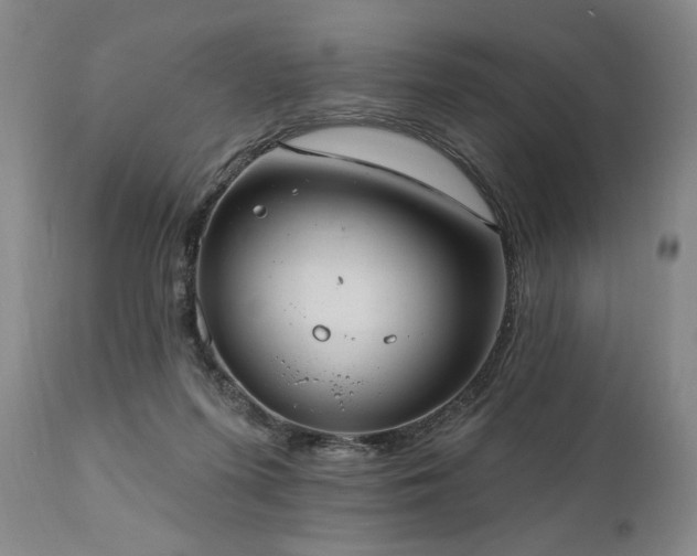 X0000111040215200906251409
