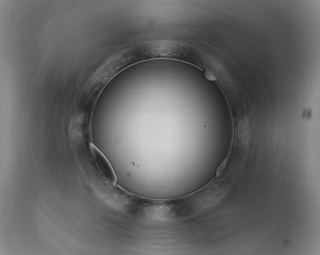 X0000111040217200906251409