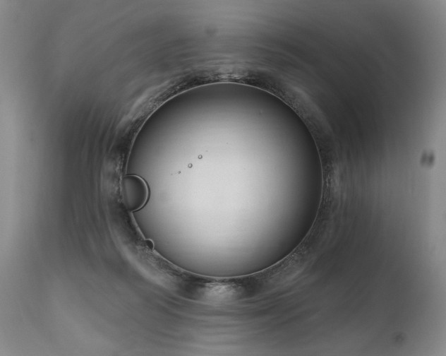 X0000111040218200906251409