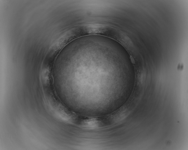 X0000111040219200906251409