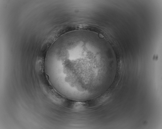X0000111040222200906251409