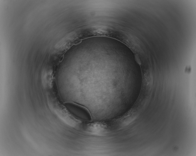 X0000111040223200906251409