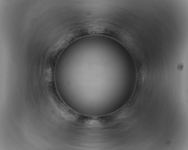 X0000111040224200906251409