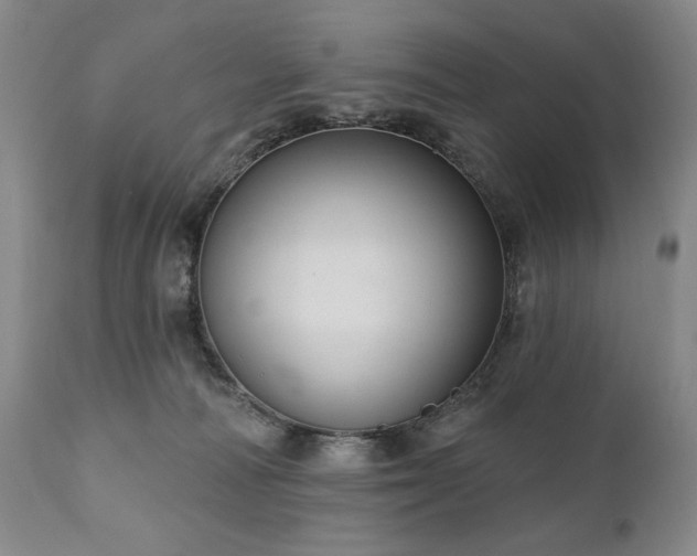 X0000111040226200906251409