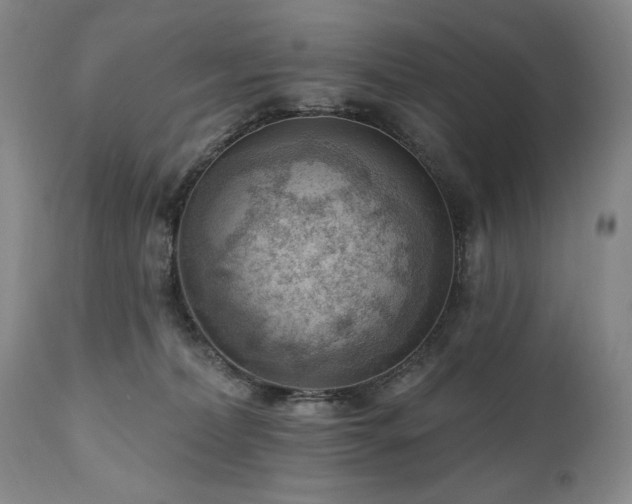 X0000111040228200906251409