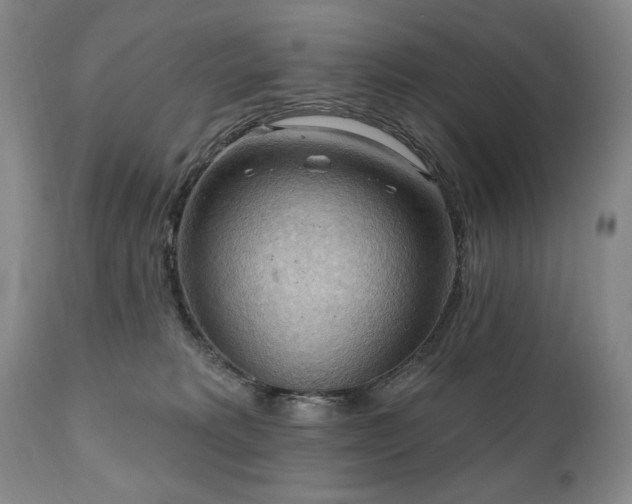 X0000111040229200906251409