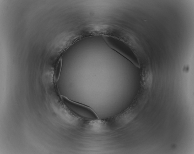 X0000111040231200906251409
