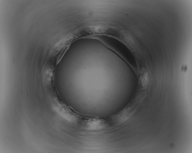 X0000111040235200906251409
