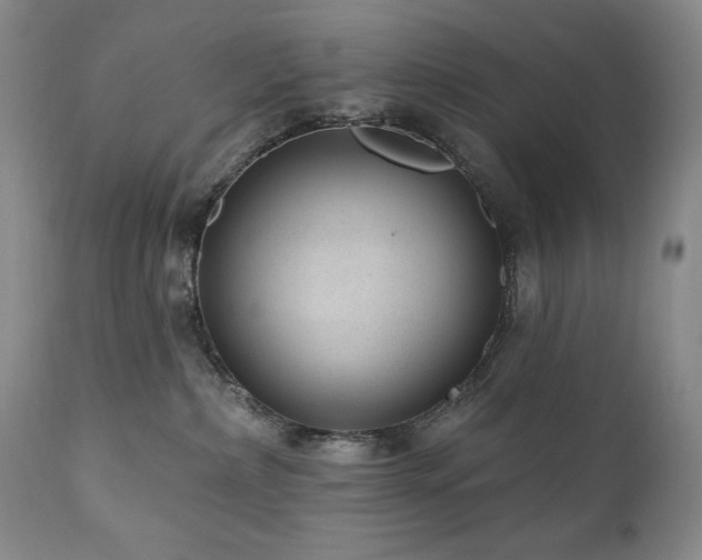 X0000111040236200906251409