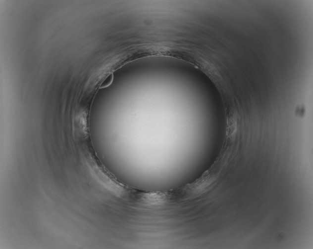 X0000111040238200906251409