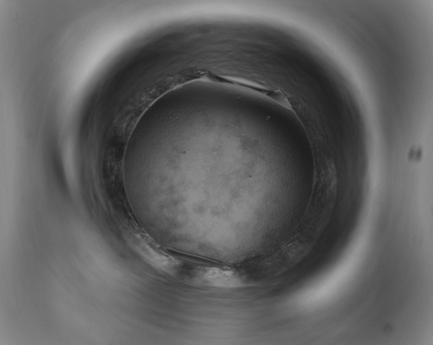 X0000111040239200906251409