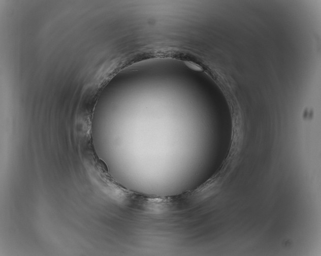 X0000111040240200906251409