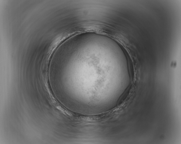 X0000111040241200906251408