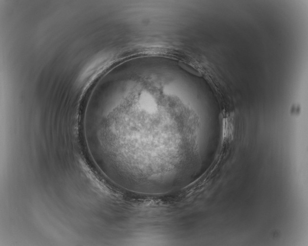 X0000111040243200906251408