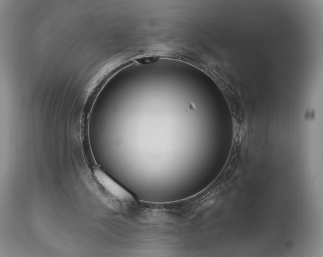 X0000111040244200906251408