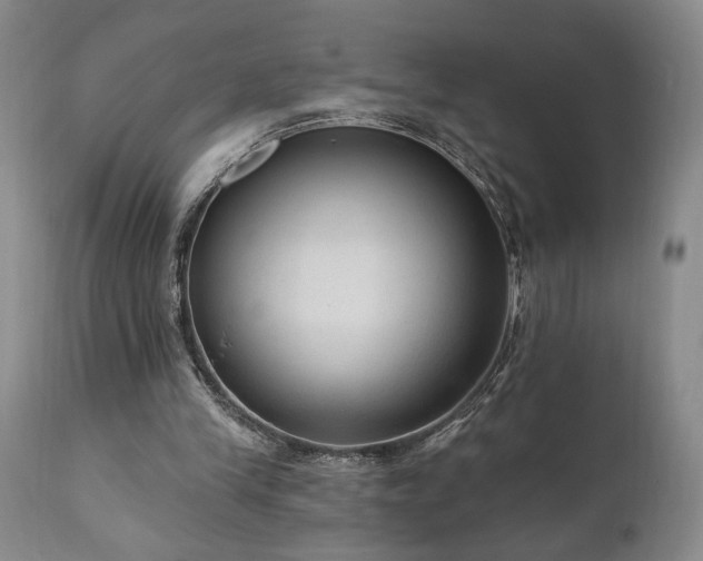 X0000111040245200906251408