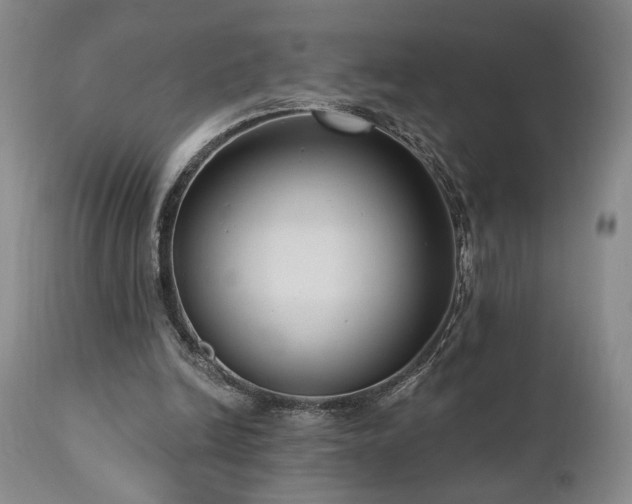 X0000111040246200906251408