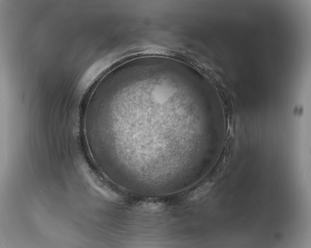 X0000111040247200906251408