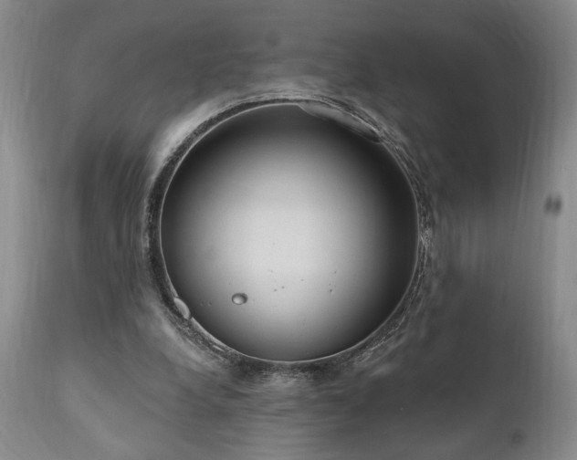 X0000111040248200906251408