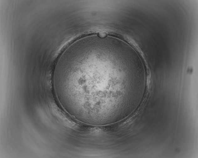 X0000111040249200906251408