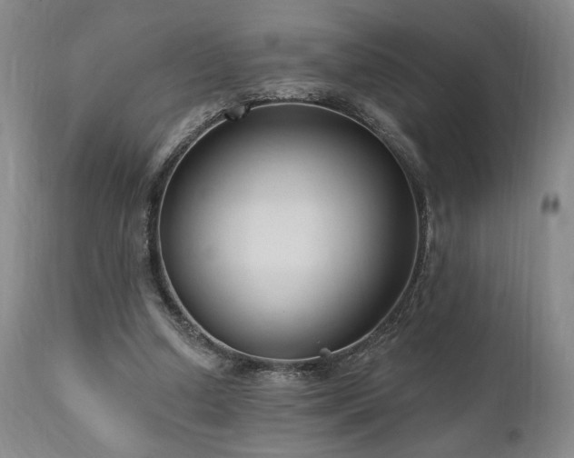 X0000111040250200906251408