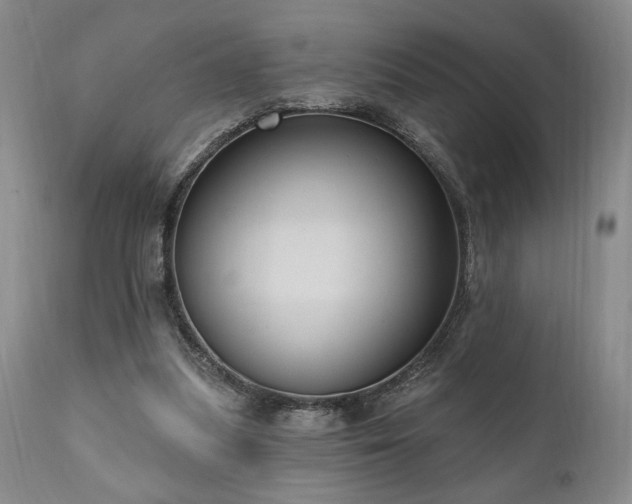 X0000111040251200906251409