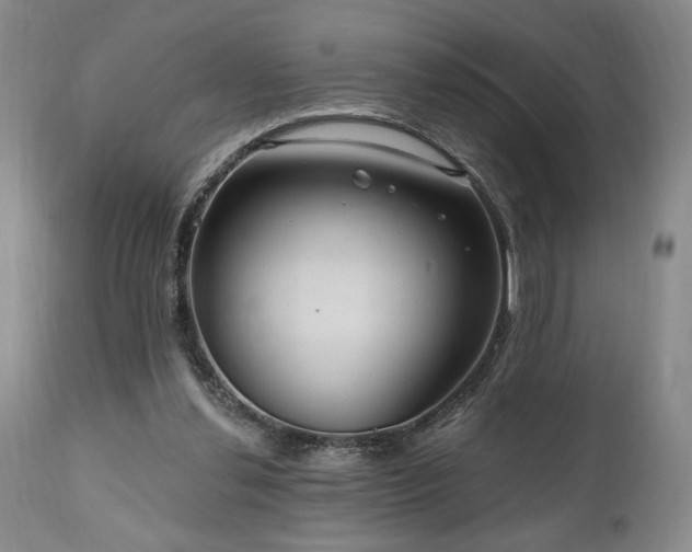 X0000111040252200906251409