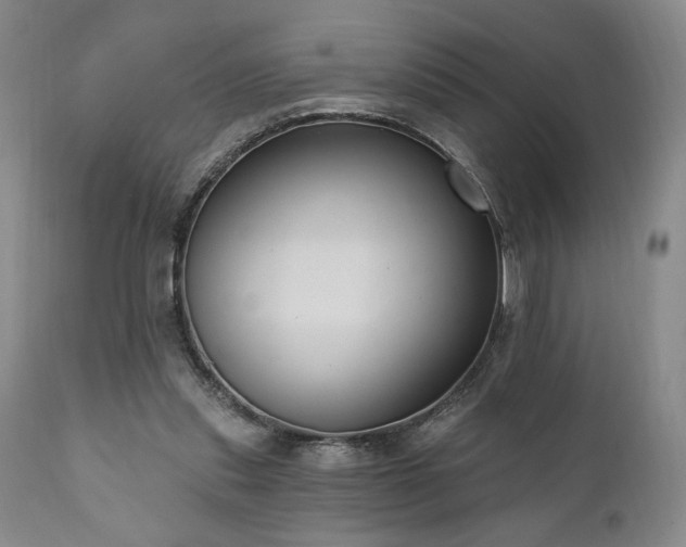 X0000111040253200906251409