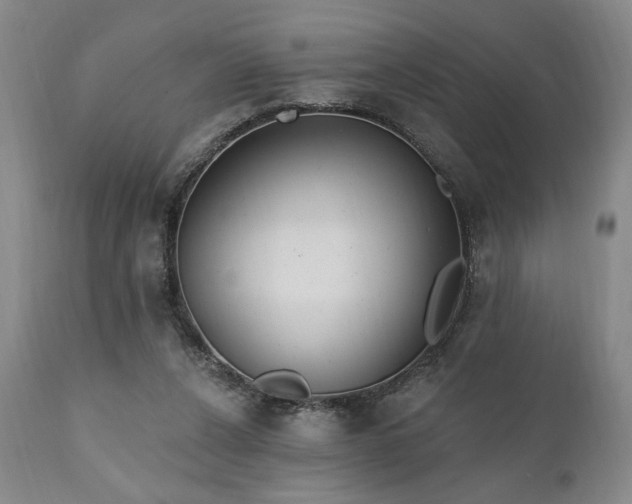 X0000111040256200906251409