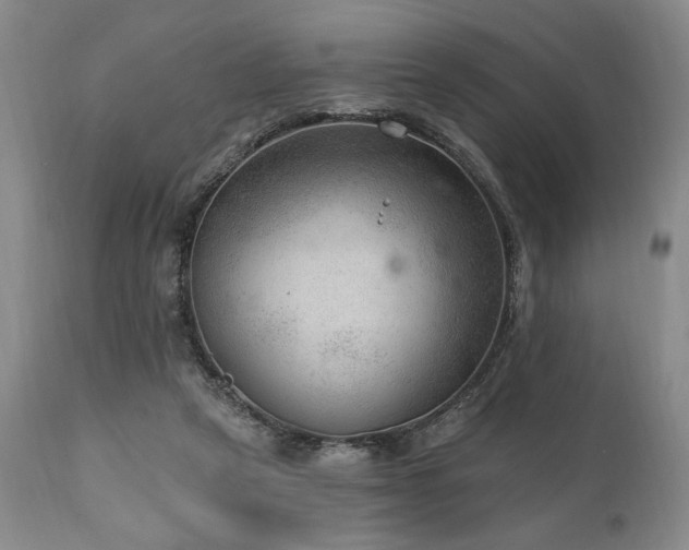 X0000111040257200906251409
