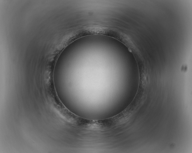 X0000111040259200906251409