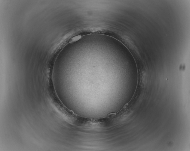 X0000111040260200906251409