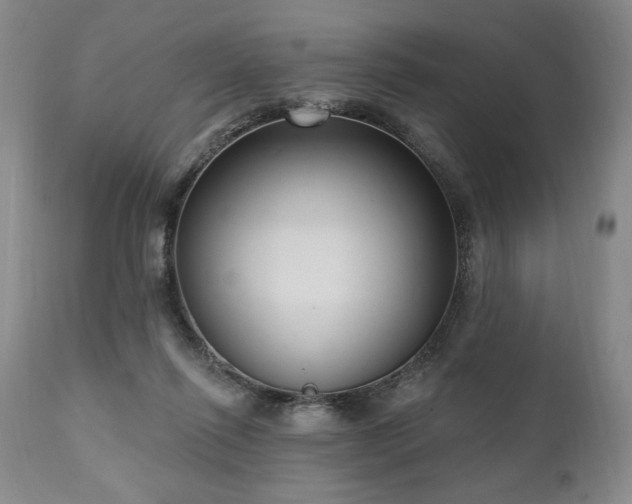 X0000111040262200906251409