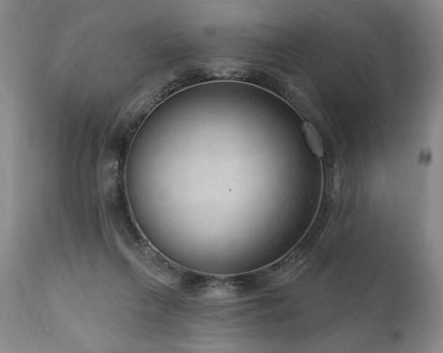 X0000111040263200906251409