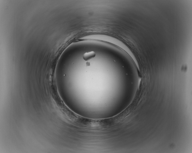 X0000111040264200906251409