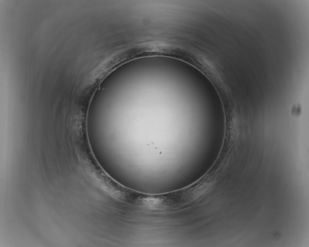 X0000111040265200906251409