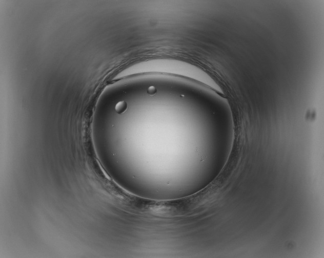 X0000111040268200906251409