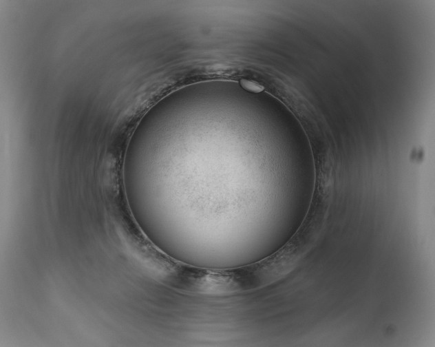 X0000111040270200906251409