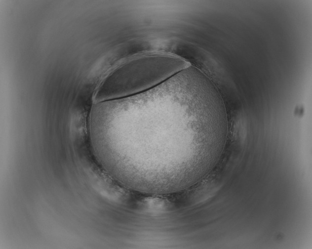 X0000111040272200906251409