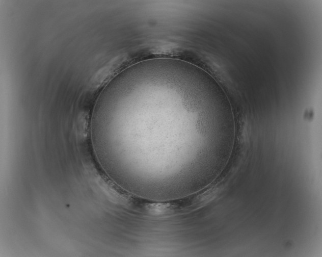 X0000111040273200906251409