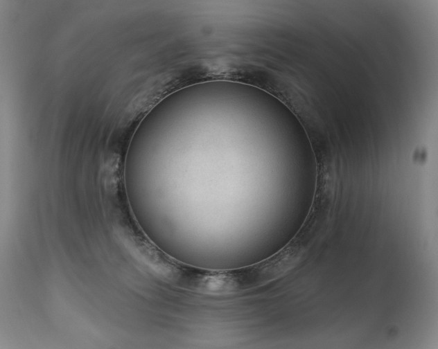 X0000111040275200906251409